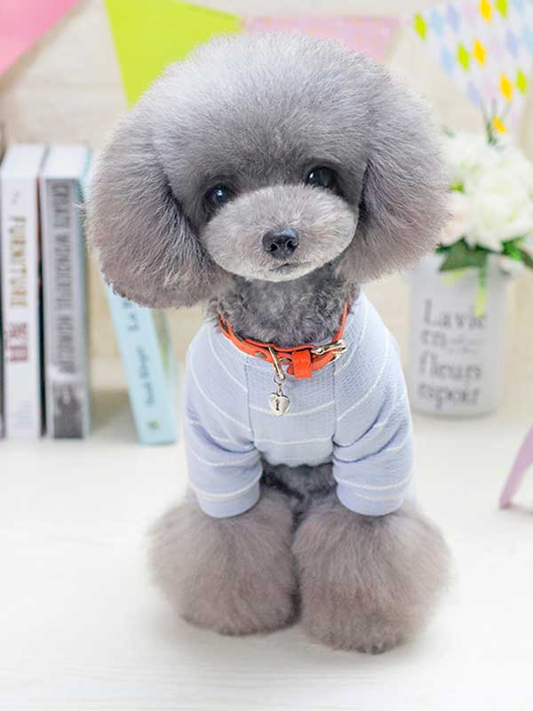 Pet Clothes Supplies - Jumpsuit Coat Fashion Nova Dog Clothes 06-0369-(8) Pet Clothes Supplies - Jumpsuit Coat Fashion Nova Dog Clothes