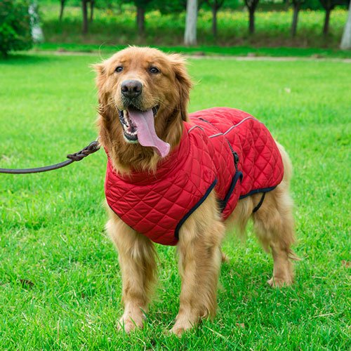 Pet Dog Coat Reflective Waterproof Winter Warm Dog Jacket Clothes 06-1597-(2) Pet Dog Coat Reflective Waterproof Winter Warm Dog Jacket Clothes 06-1597