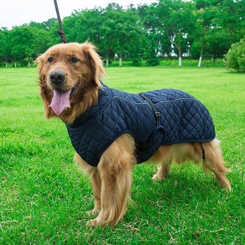 Pet Dog Coat Reflective Waterproof Winter Warm Dog Jacket Clothes 06-1597-(3) Pet Dog Coat Reflective Waterproof Winter Warm Dog Jacket Clothes 06-1597