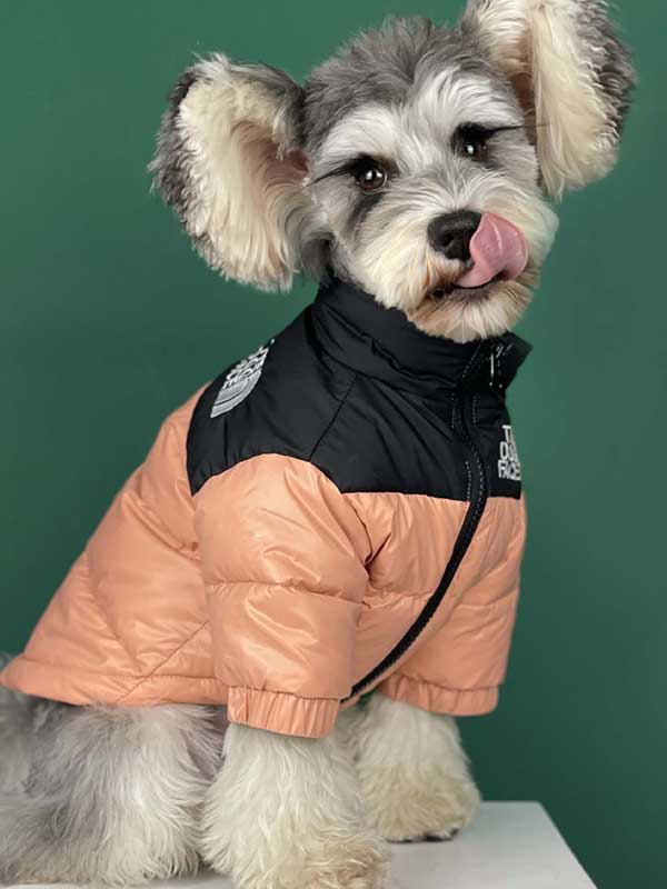 Dog-Clothing-Net-Red-Teddy-Pet-Black-Thick-Warm-Down-Vest-Pet-Clothes-06-0245