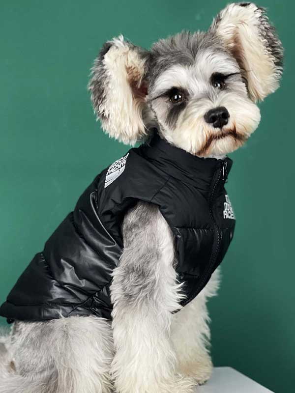 Dog-Clothing-Net-Red-Teddy-Pet-Black-Thick-Warm-Down-Vest-Pet-Clothes-06-0245