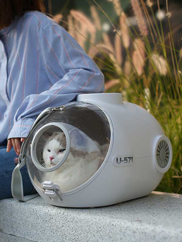 Pet Factory Wheasale Amazin Ebay Hot Sale Pet Carrier Airline Approved Small Dog Carrier 103-002-2 (1) Pet Factory Wheasale Amazin Ebay Hot Sale Pet Carrier Airline Approved Small Dog Carrier 103-002