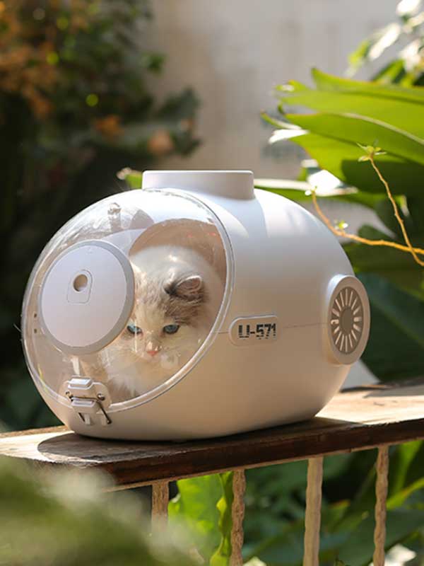 Pet Factory Wheasale Amazin Ebay Hot Sale Pet Carrier Airline Approved Small Dog Carrier 103-002-2 (3) Pet Factory Wheasale Amazin Ebay Hot Sale Pet Carrier Airline Approved Small Dog Carrier 103-002