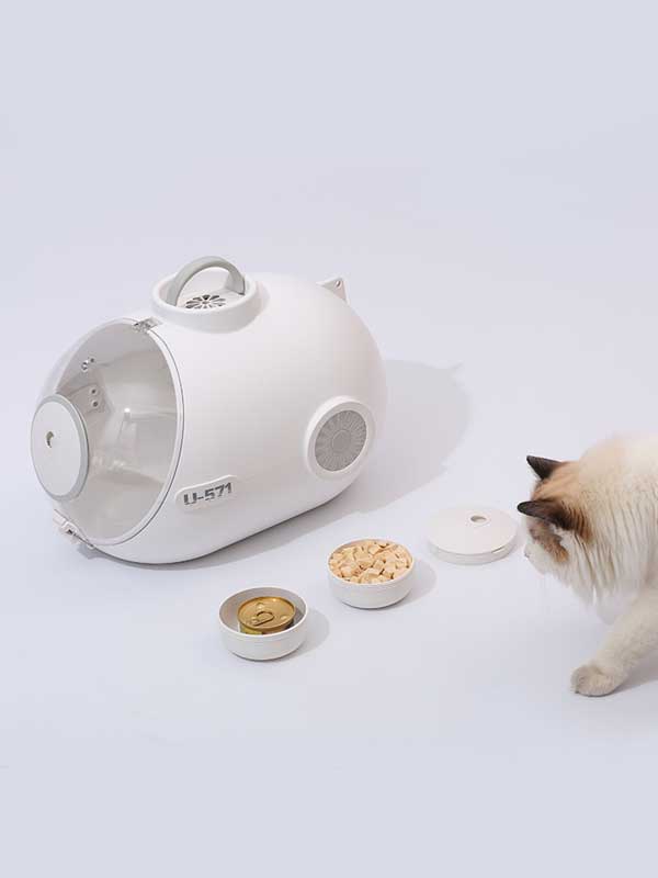 1642587520-Pet Factory Wheasale Amazin Ebay Hot Sale Pet Carrier Airline Approved Small Dog Carrier 103-002-2 (4) Pet Factory Wheasale Amazin Ebay Hot Sale Pet Carrier Airline Approved Small Dog Carrier 103-002