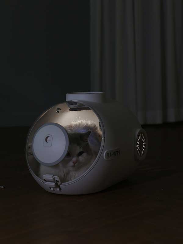 Pet Factory Wheasale Amazin Ebay Hot Sale Pet Carrier Airline Approved Small Dog Carrier 103-002-2 (5) Pet Factory Wheasale Amazin Ebay Hot Sale Pet Carrier Airline Approved Small Dog Carrier 103-002