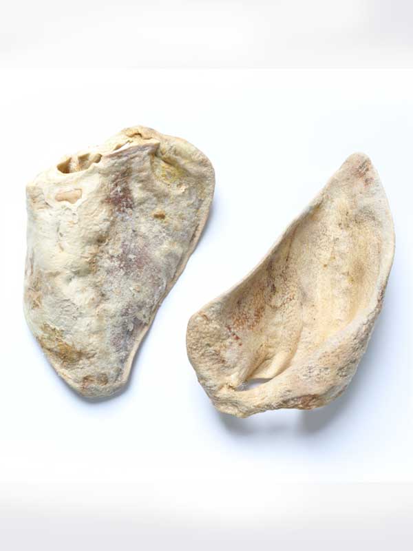 et Factory Wholesale OEM & ODM Freeze-dried Pig's Ear 130-066 et Factory Wholesale OEM & ODM Freeze-dried Pig's Ear 130-066