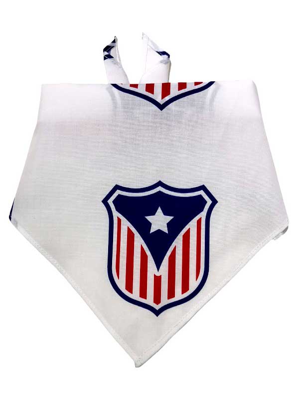 Independence Day Pet dog Cat Triangle Towel Drool scarf scarf bib 1 Independence Day Pet dog Cat Triangle Towel Drool scarf scarf bib