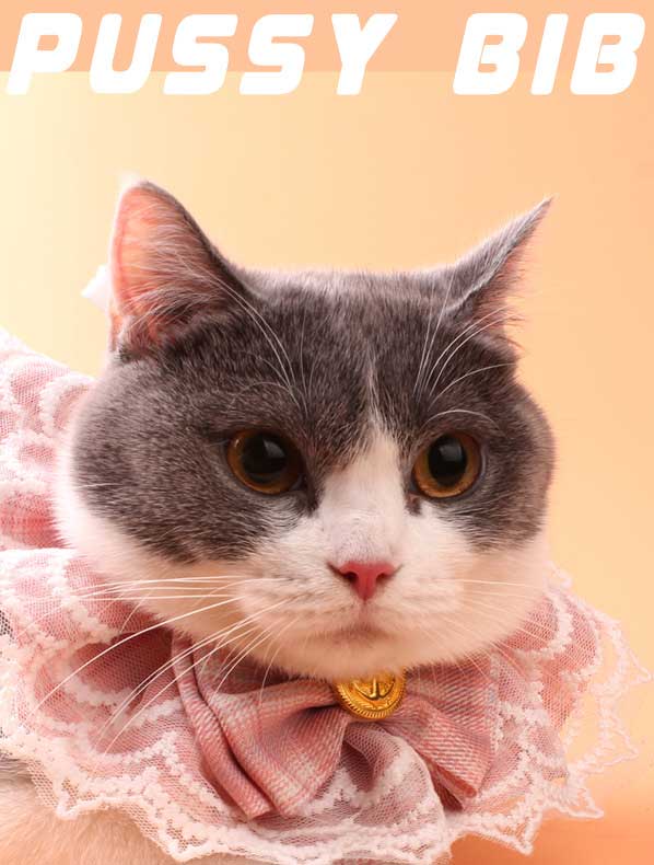 Whoelsale Pet accessories Cat bow lace collar drool towel dog bib